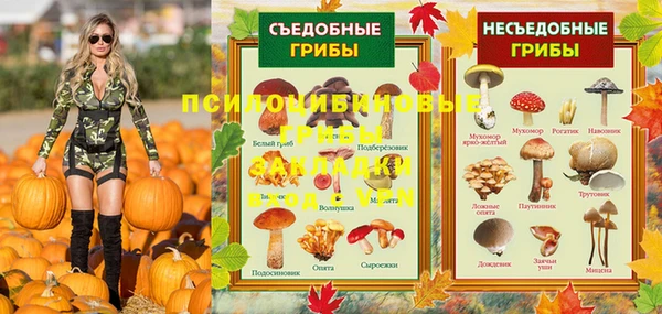 меф Инта