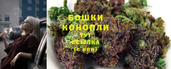 дживик Инсар