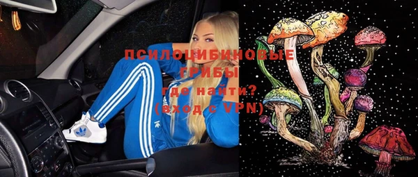 меф Инта