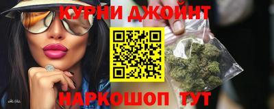 сатива Краснознаменск