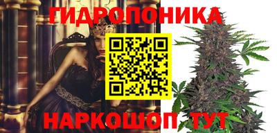 сатива Краснознаменск