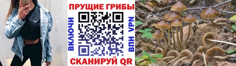 Галлюциногенные грибы мухоморы  blacksprut tor  Карпинск 